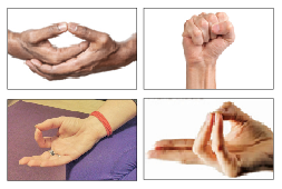 MUDRAS TO CALM YOUR MIND